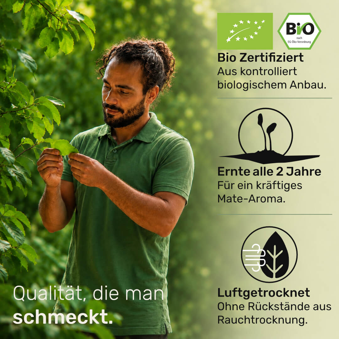 Mate Tee gruen  bio-zertifiziert nur alle zwei jahre geerntet ohne künstliche Aromen und Zusatzstoffen Luftgetrocknet