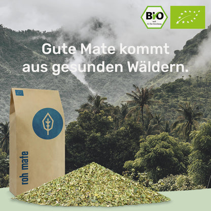 gesunde Mate kommt aus gesunden Waeldern caamate roh mate tee bio caámate